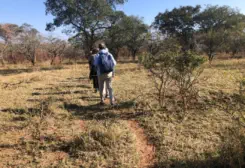 Bush Walking Trails with Sunset Game Lodge