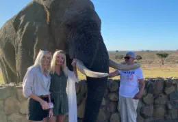 Elephant Moments near Sunset Lodge & Safaris Hoedspruit