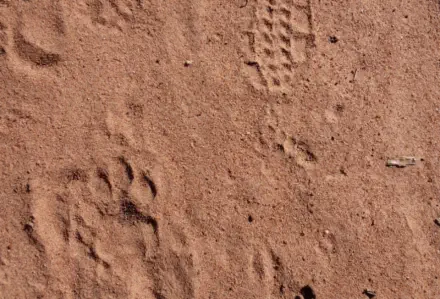 Near the Sunset Game Lodge Hoedspruit