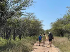 Bush Walks at Sunset Lodge & Safaris