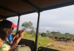 Guided Big 5 Game Drives Hoedspruit