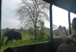 Sunset Big 5 Game Drive near Hoedspruit