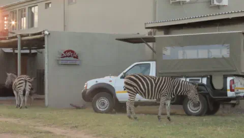 Sunset Lodge & Safaris near Orpen Gate